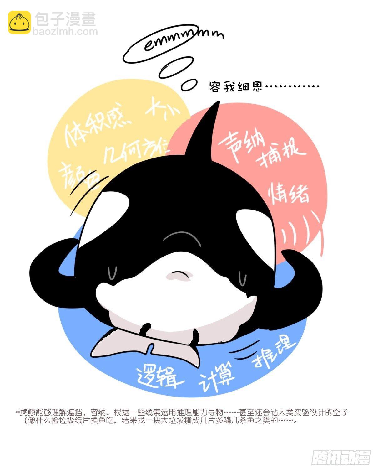 虎鲸篇：这些杀手不太冷10-第183话
