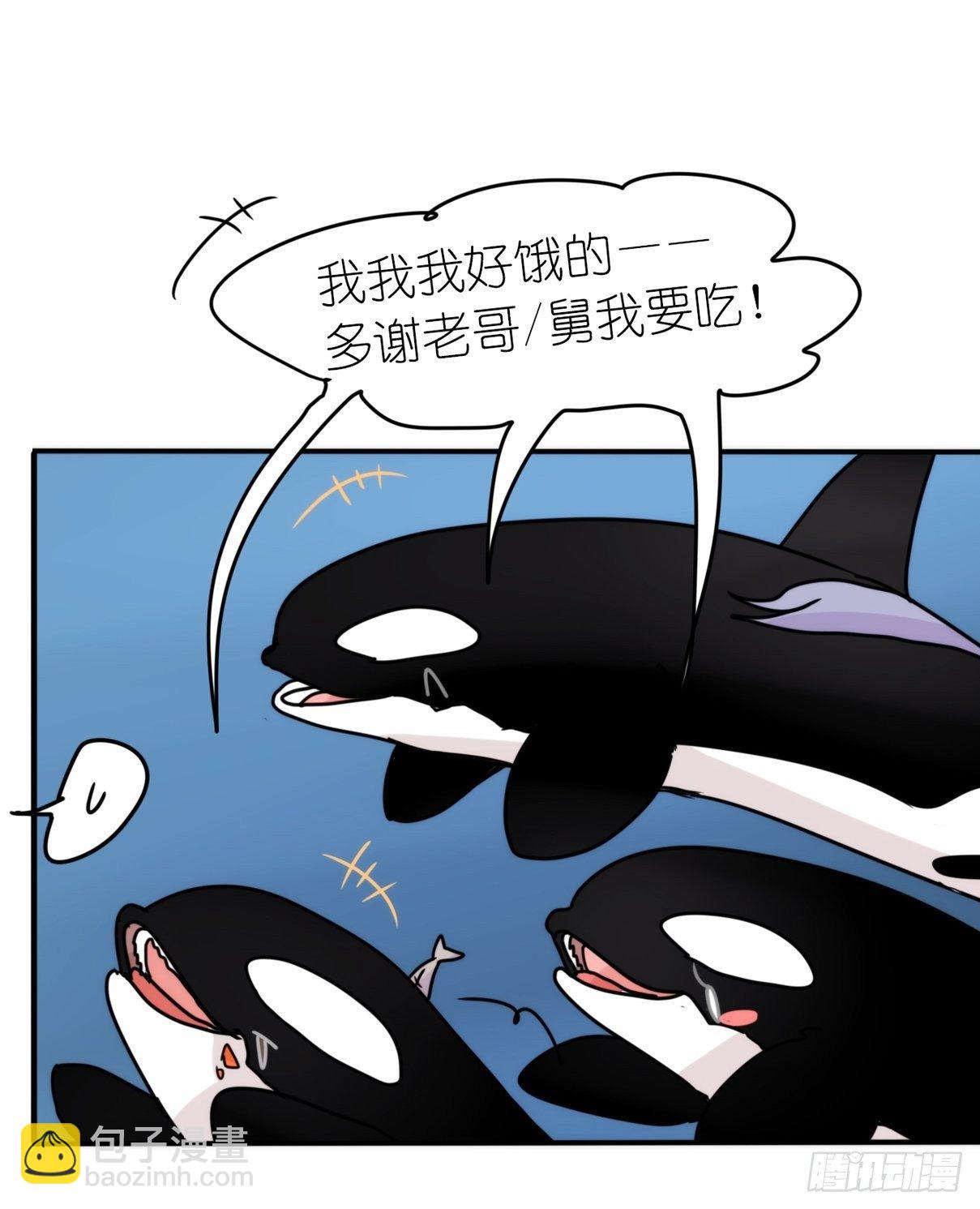 虎鲸篇：这些杀手不太冷12-第185话