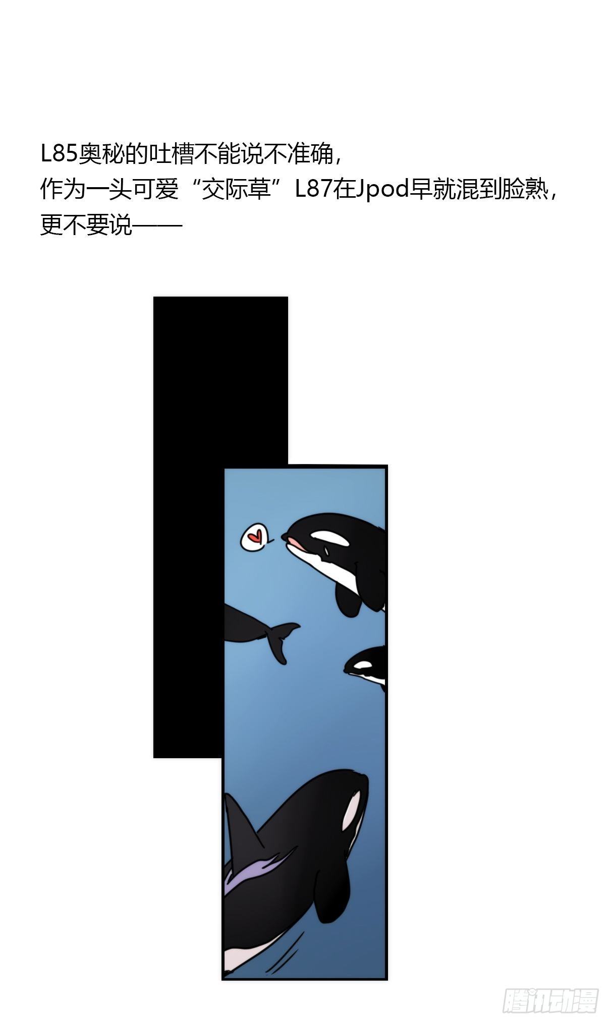 虎鲸篇：这些杀手不太冷12-第185话