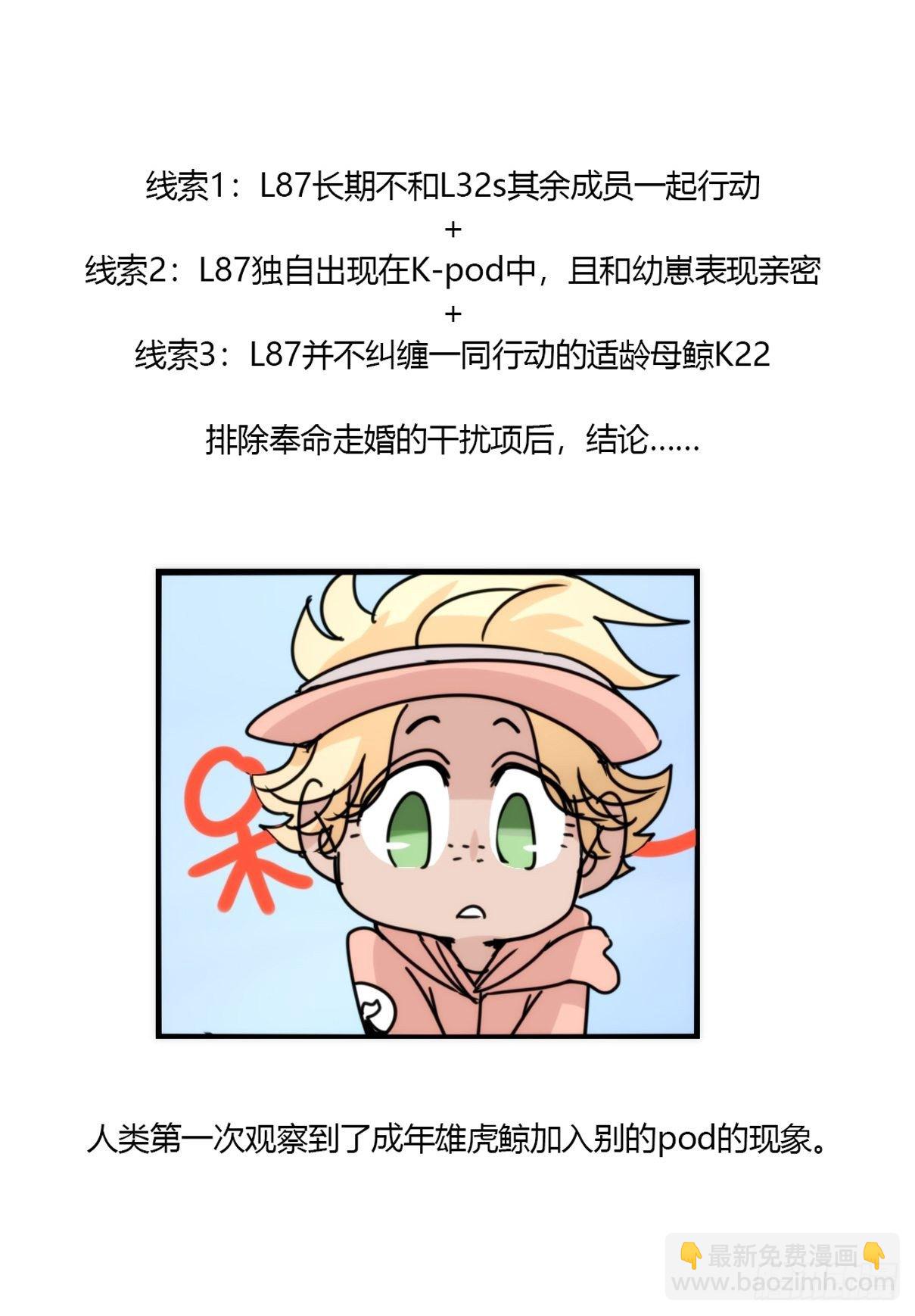 虎鲸篇：这些杀手不太冷14-第187话