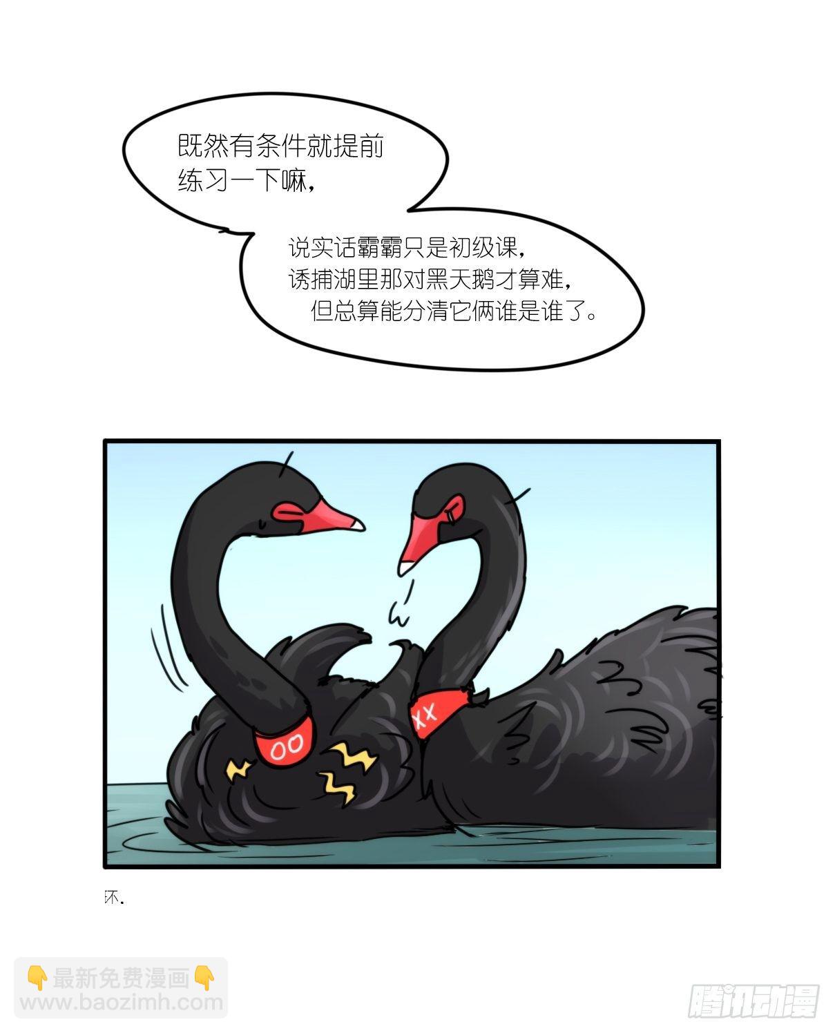 事业篇II：上吧，二呆！01-第189话