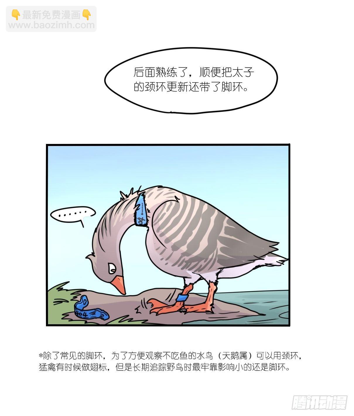事业篇II：上吧，二呆！01-第189话