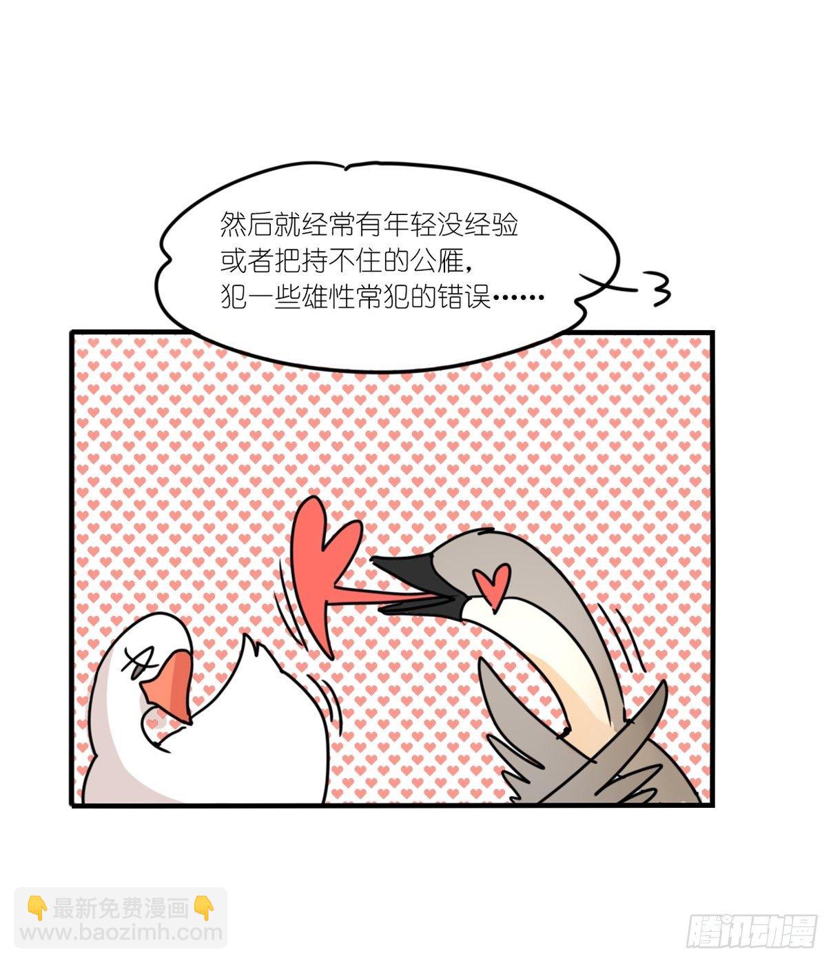 事业篇II：上吧，二呆！02-第191话