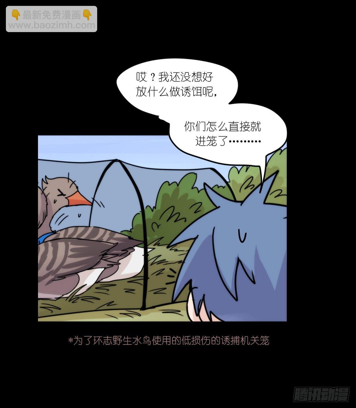 事业篇II：拜见岳父大人！-第193话