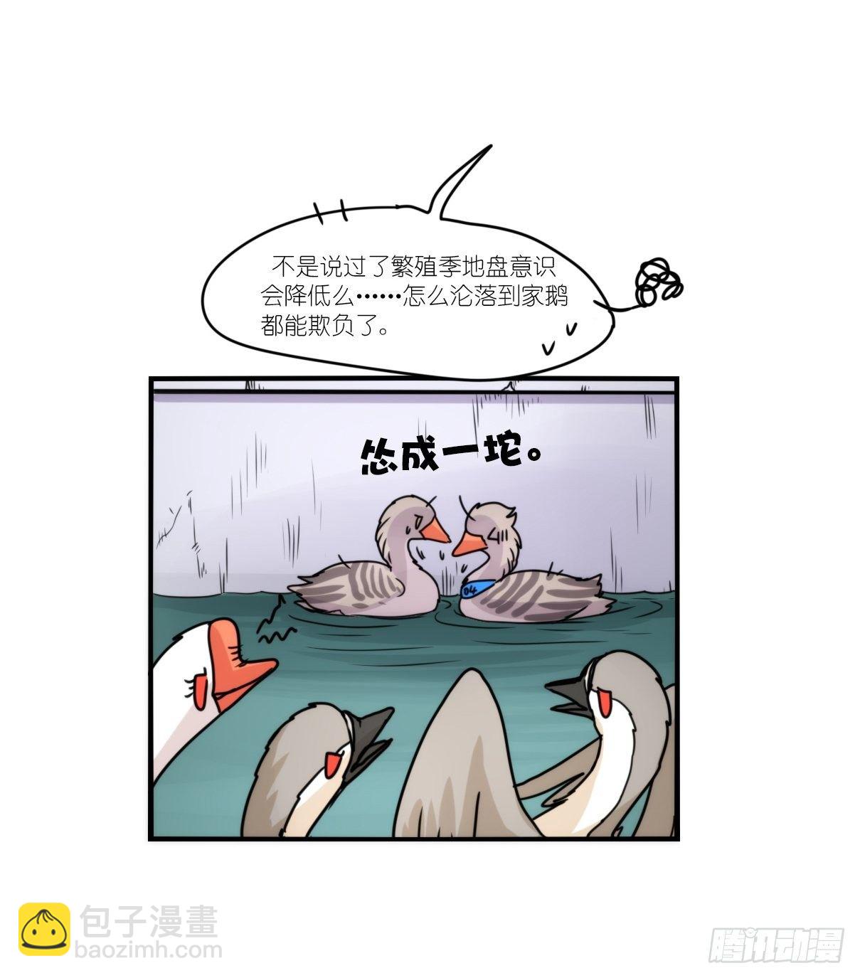 事业篇II：拜见岳父大人！-第193话