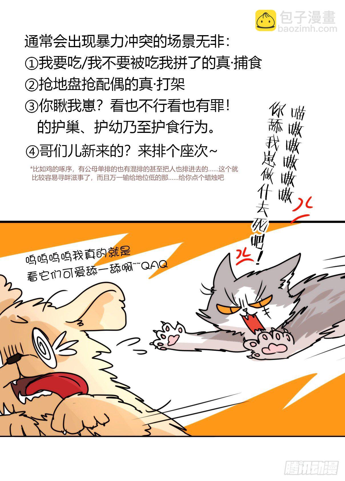 事业篇II：拜见岳父大人！-第193话