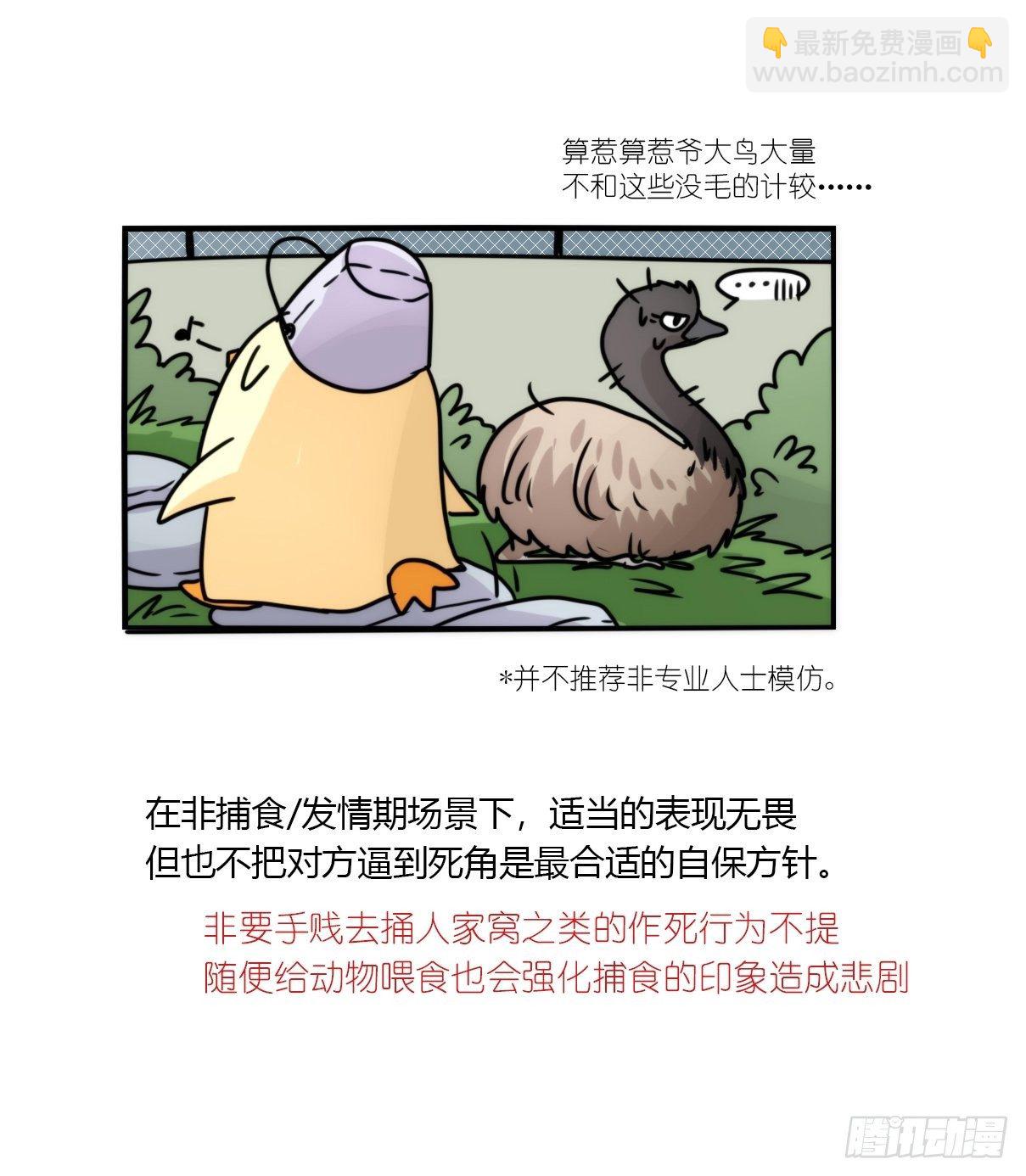 事业篇II：拜见岳父大人！-第193话