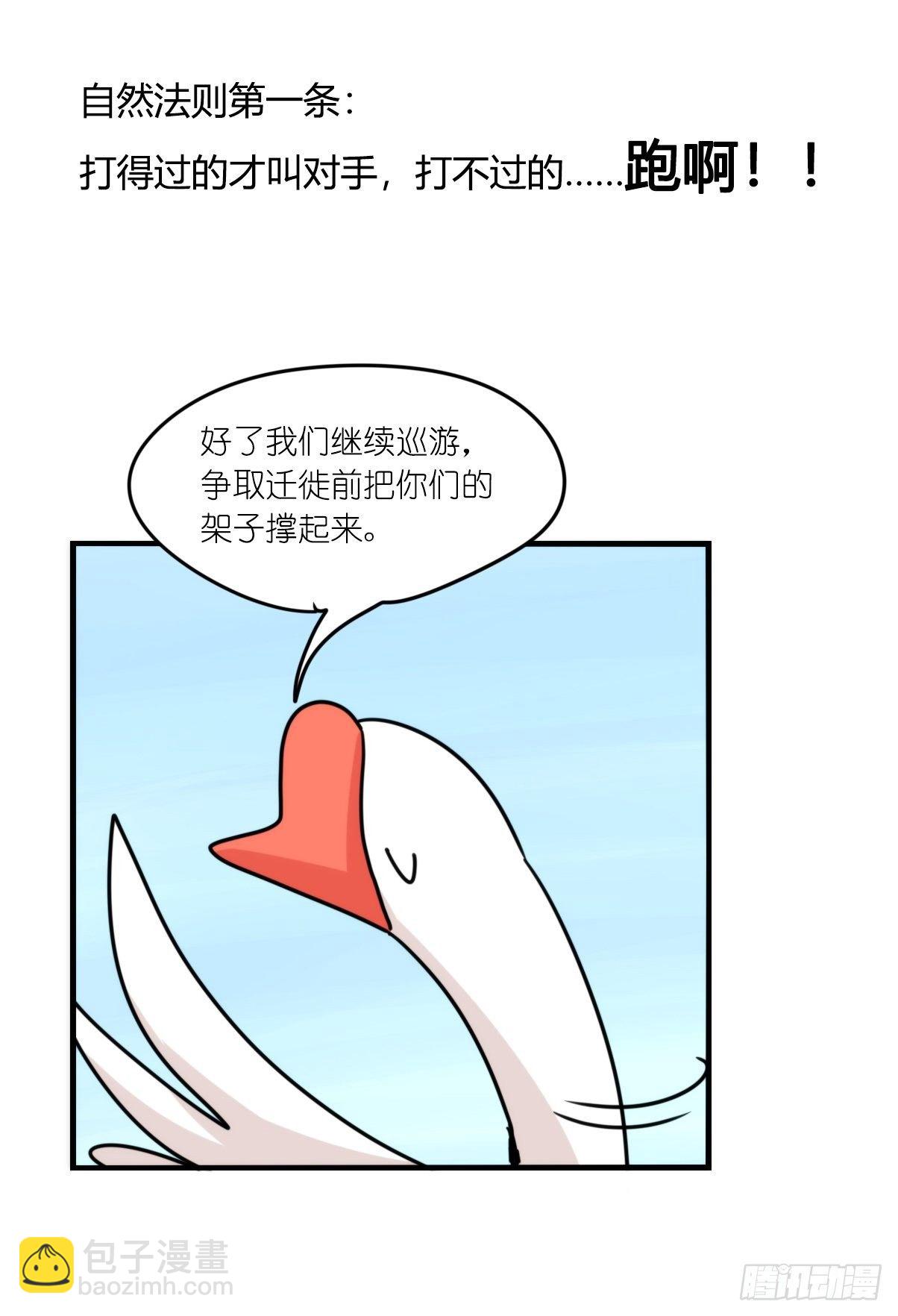 事业篇II：打得过才叫对手-第197话