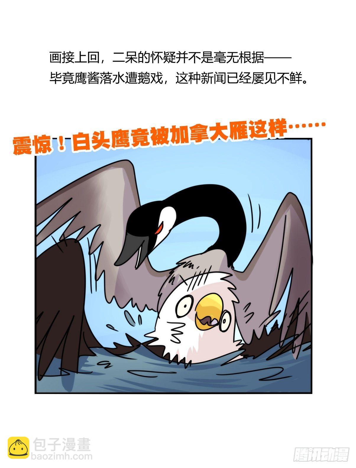 事业篇II：打得过才叫对手-第197话