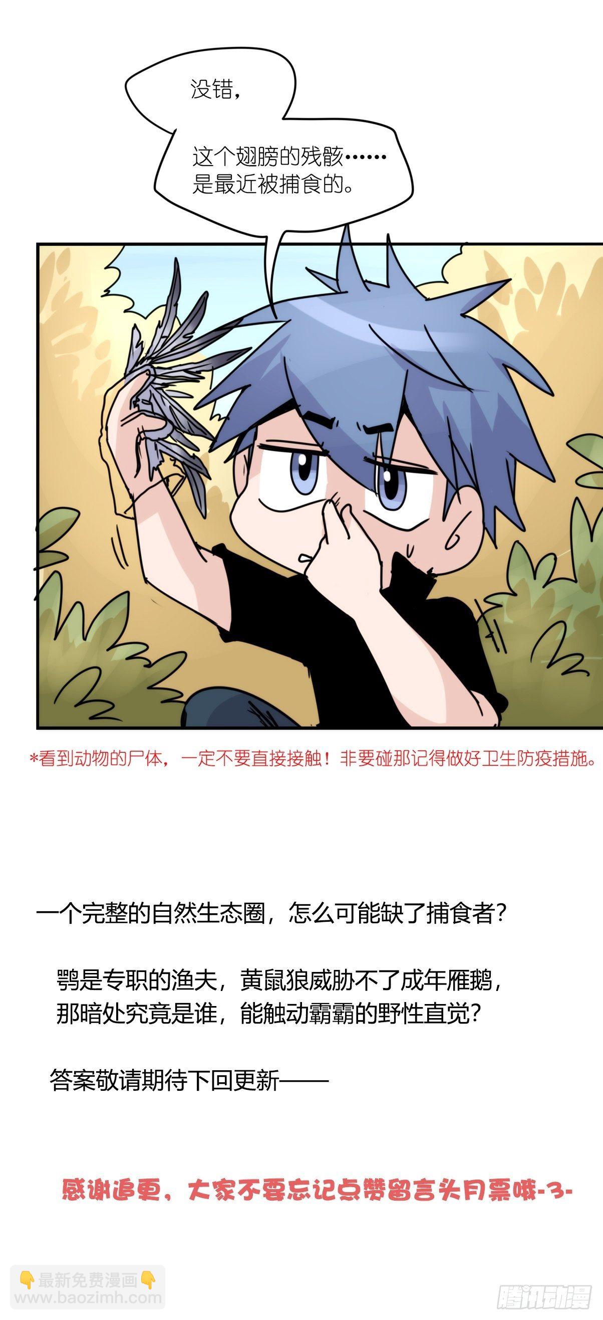 事业篇II：打得过才叫对手-第197话