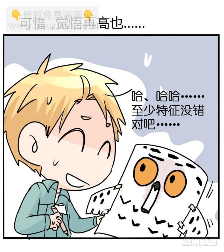 飞吧小少爷：万事开头难-第3话