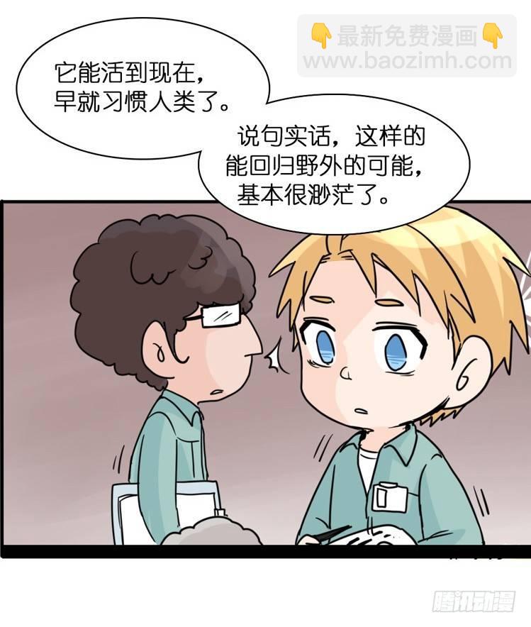 飞吧小少爷：万事开头难-第3话