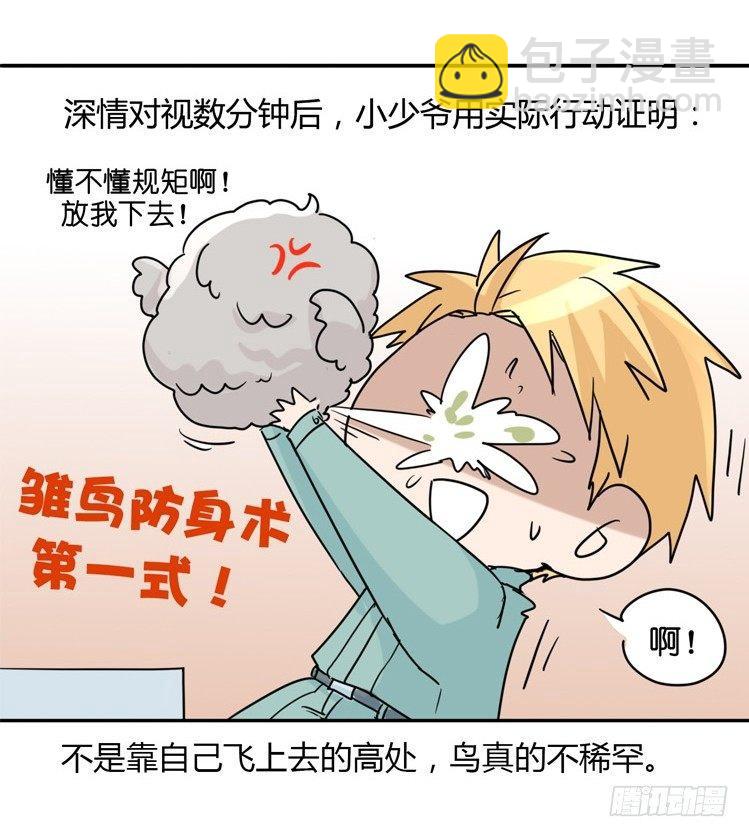 飞吧小少爷：万事开头难-第3话