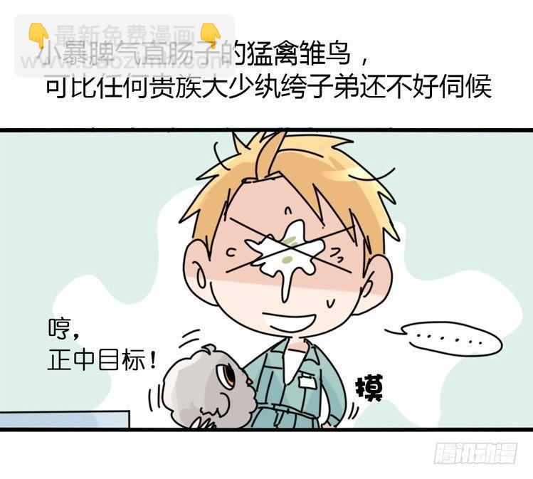 飞吧小少爷：万事开头难-第3话