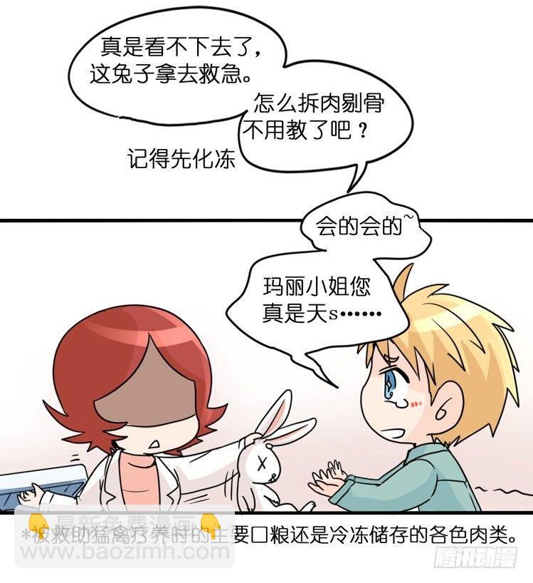飞吧小少爷：万事开头难-第3话