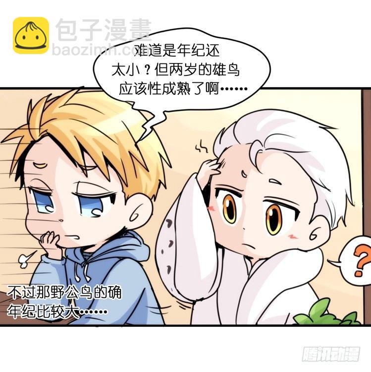 飞吧小少爷：恋爱季和注孤生？-第21话