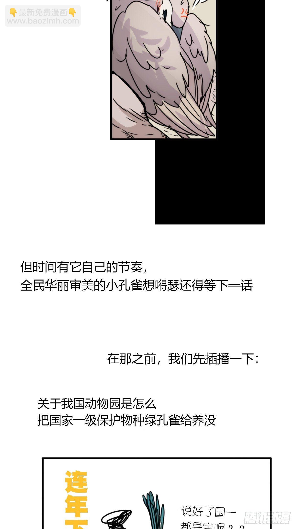 事业篇II：致绿孔雀01-第205话