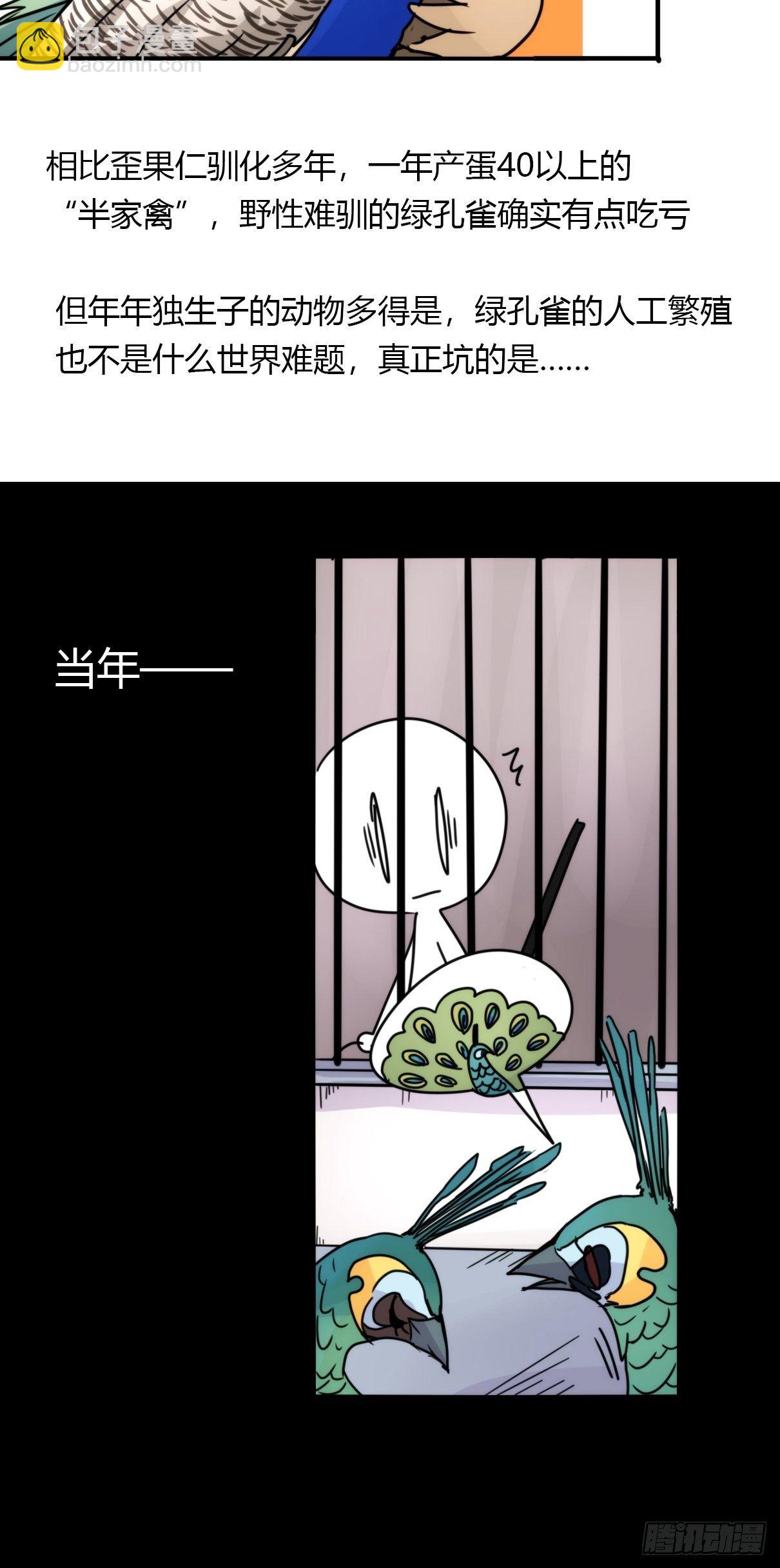 事业篇II：致绿孔雀01-第205话