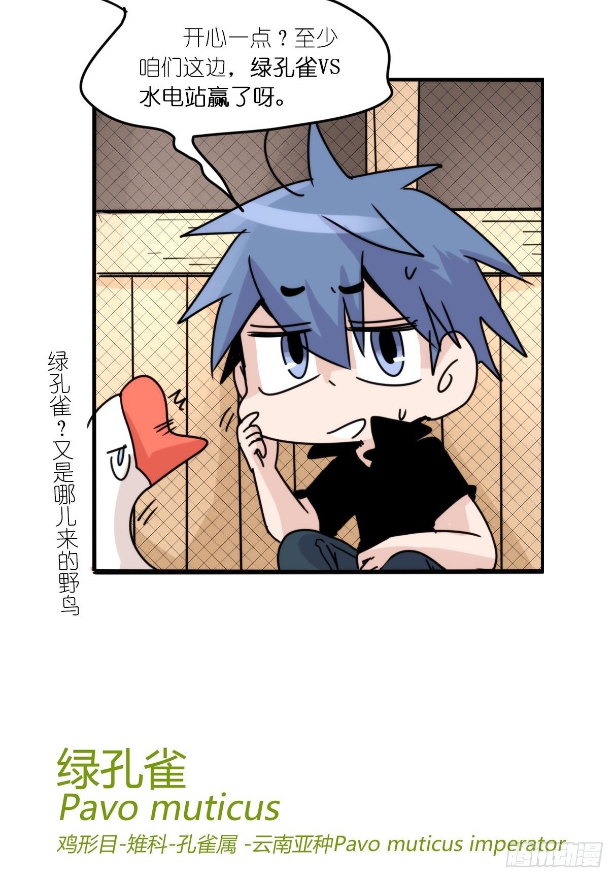 事业篇II：致绿孔雀01-第205话