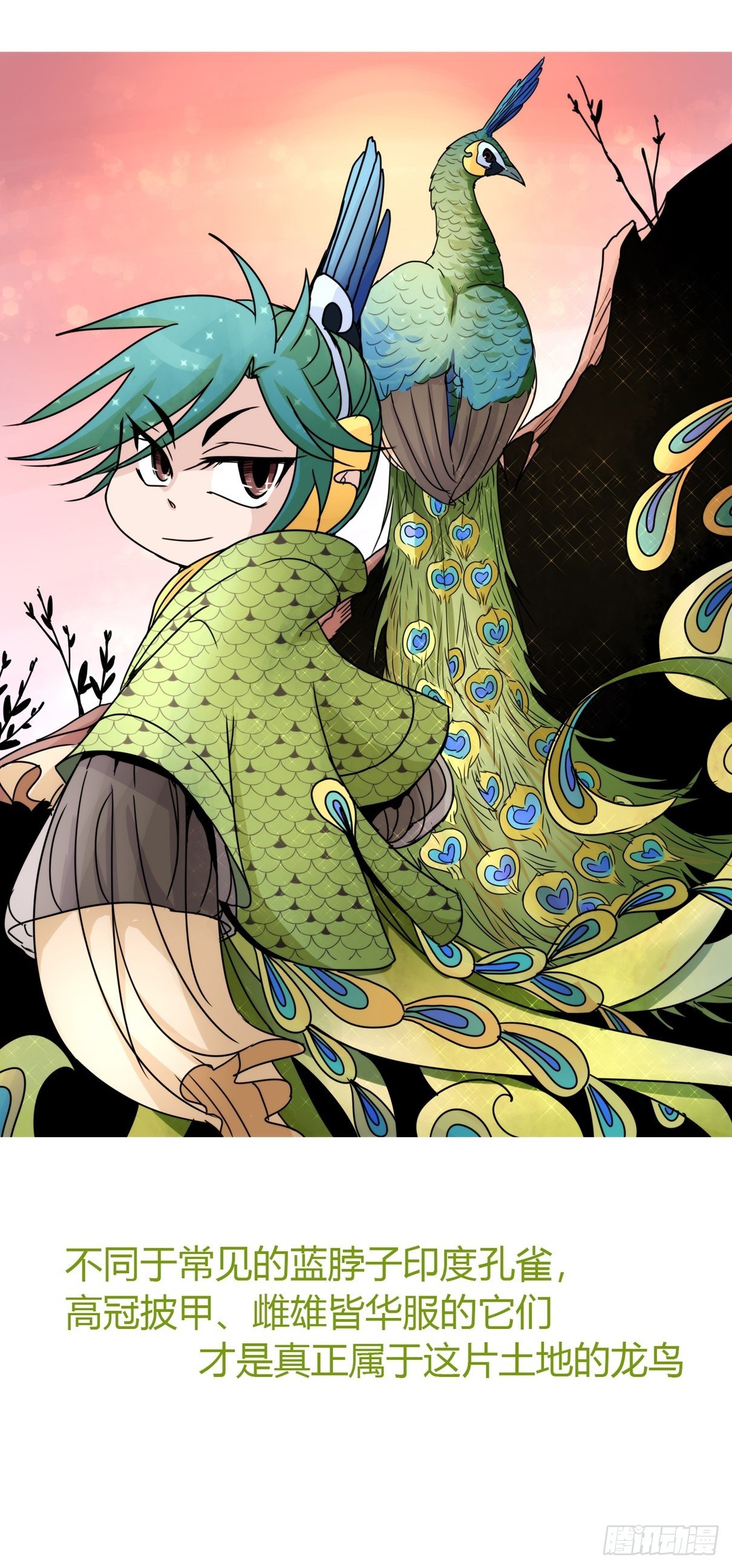 事业篇II：致绿孔雀01-第205话