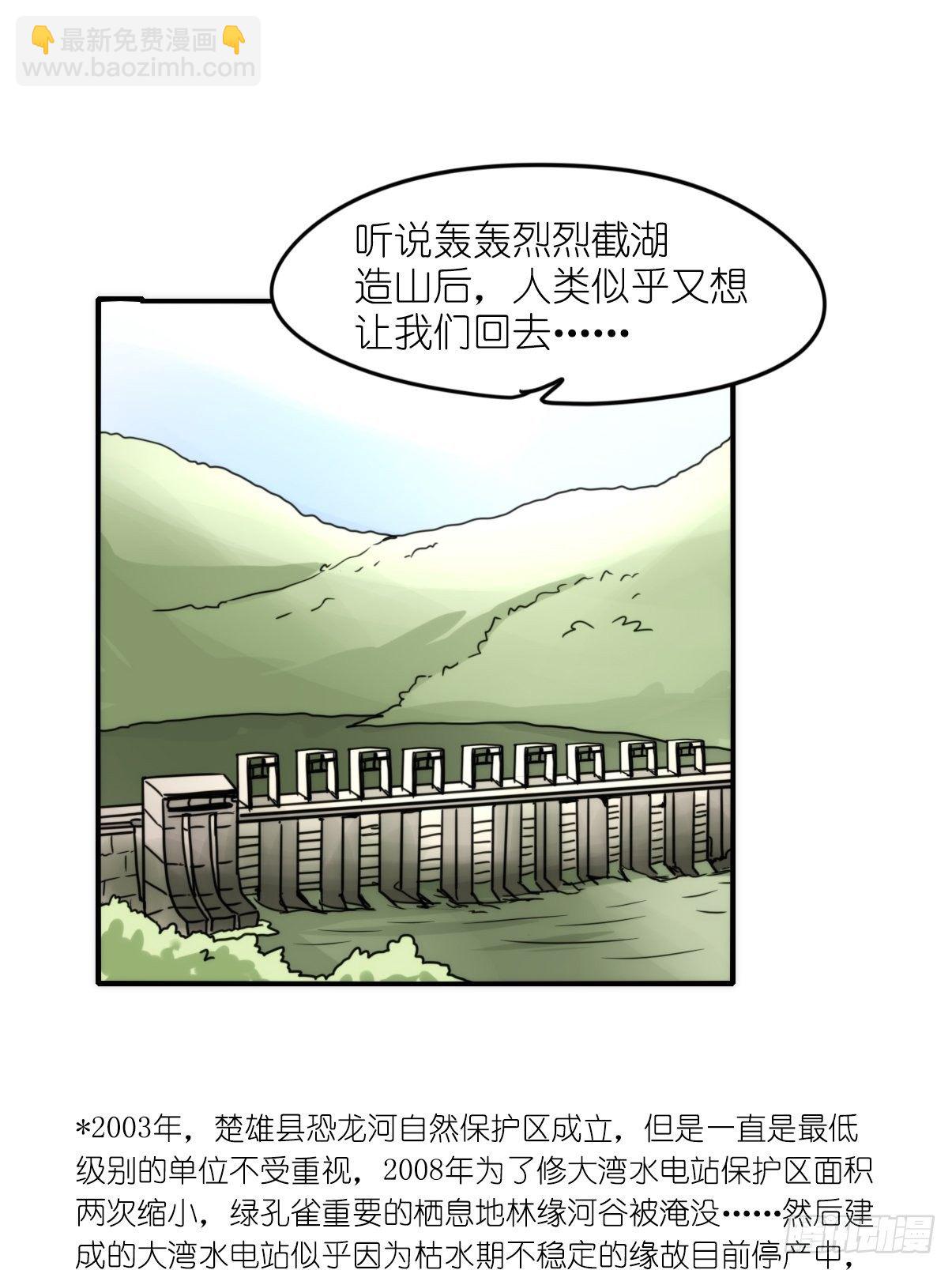 事业篇II：致绿孔雀03-第207话