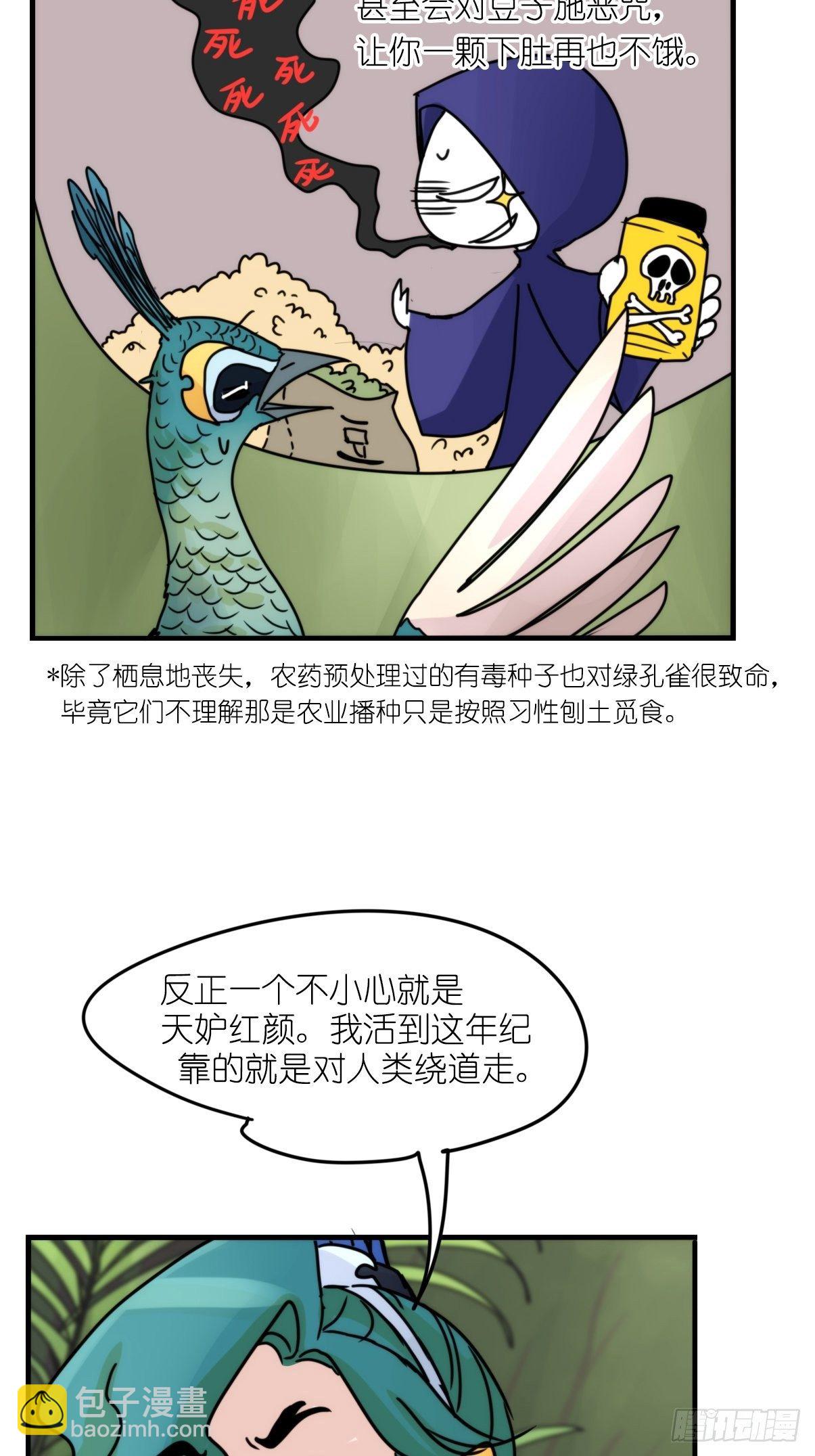事业篇II：致绿孔雀03-第207话