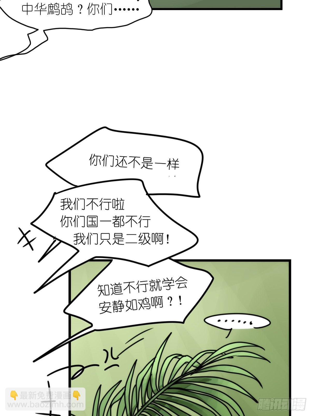 事业篇II：致绿孔雀03-第207话