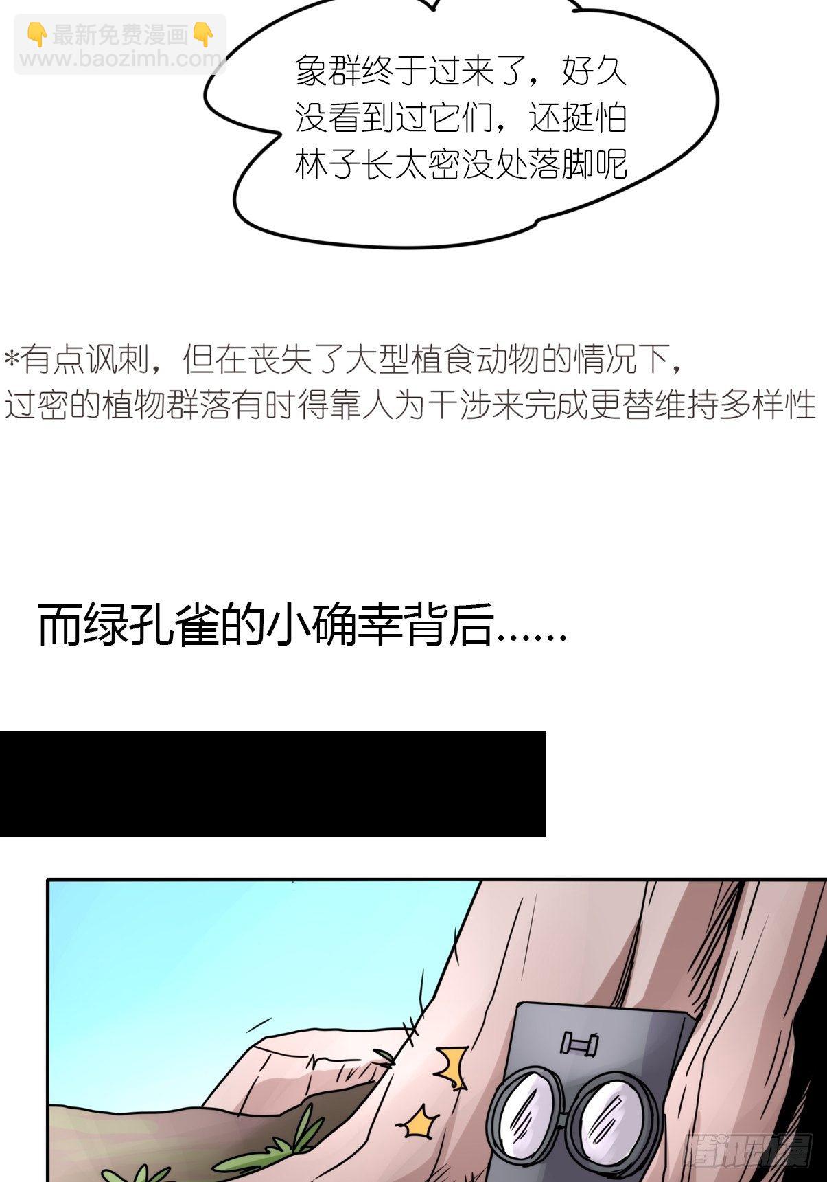 事业篇II：致绿孔雀05-第209话