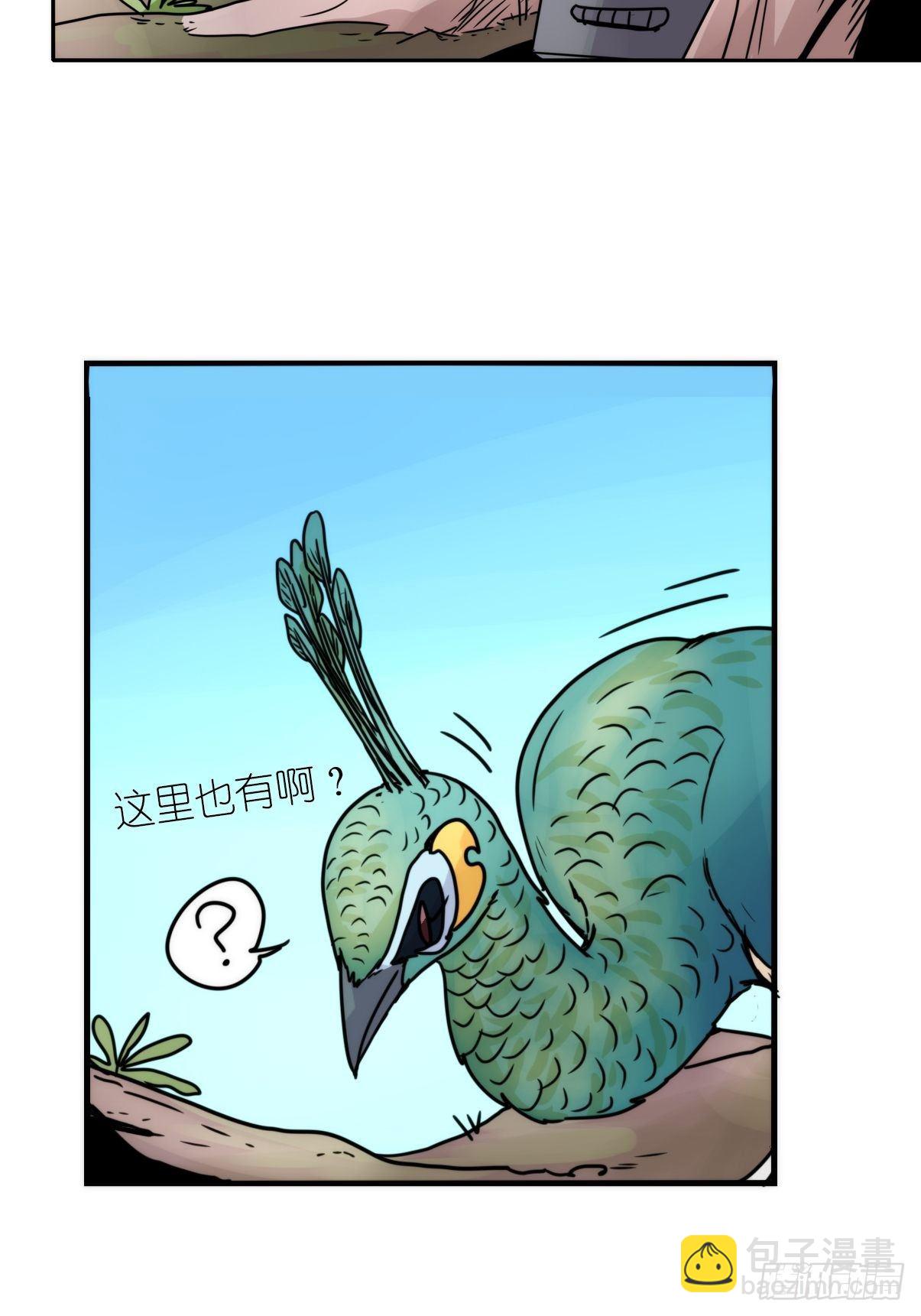 事业篇II：致绿孔雀05-第209话