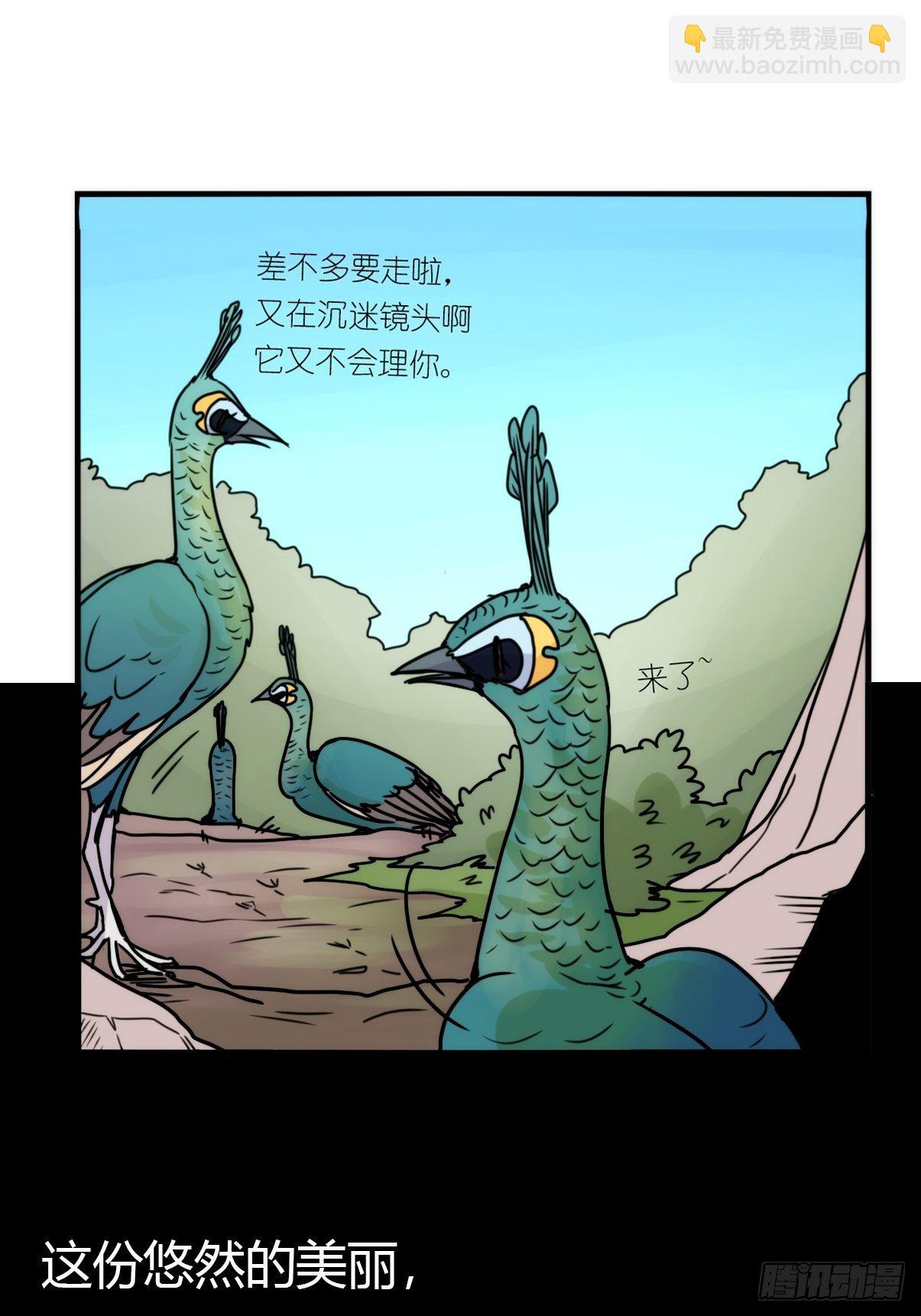 事业篇II：致绿孔雀05-第209话