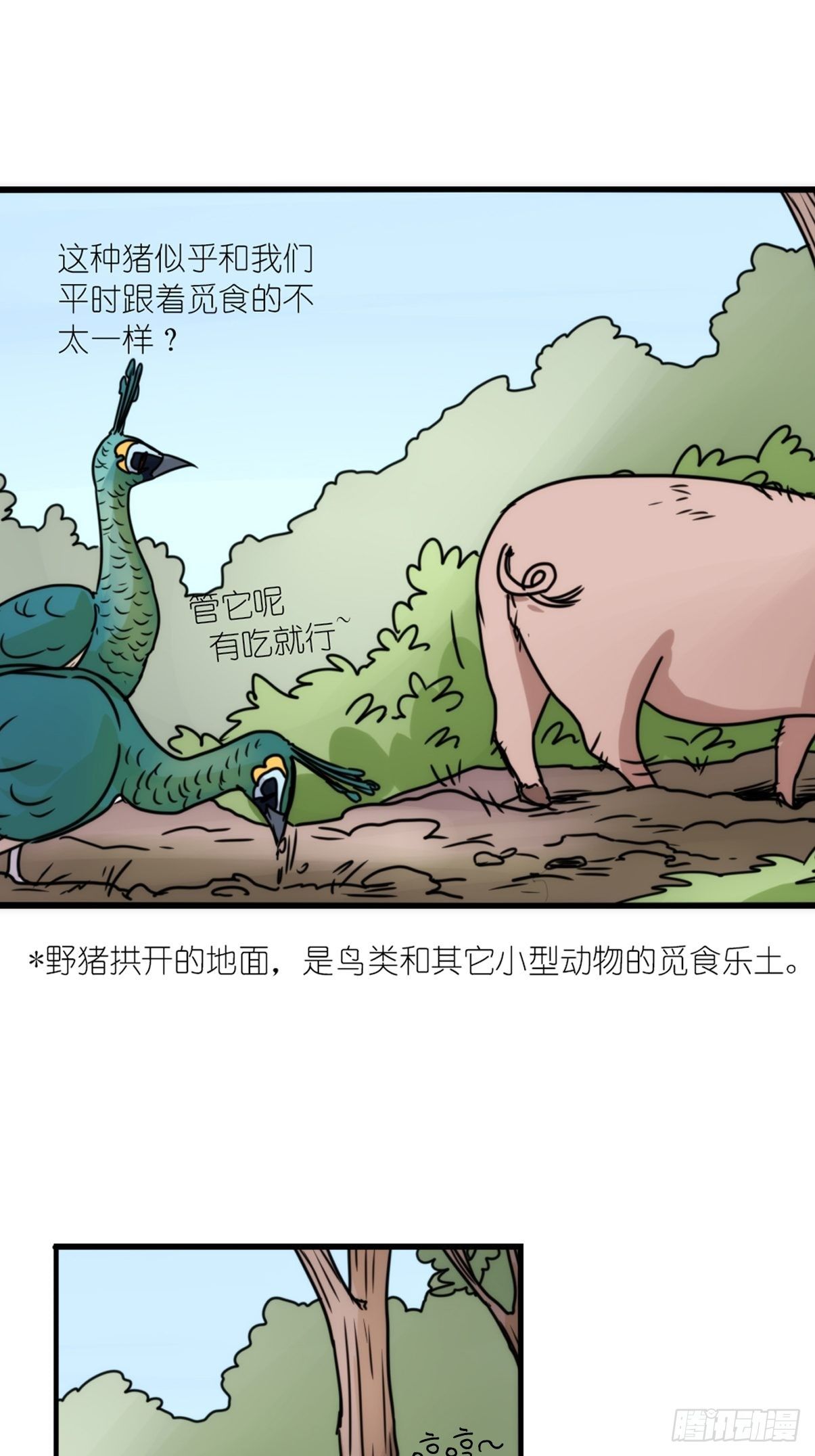 事业篇II：致绿孔雀05-第209话