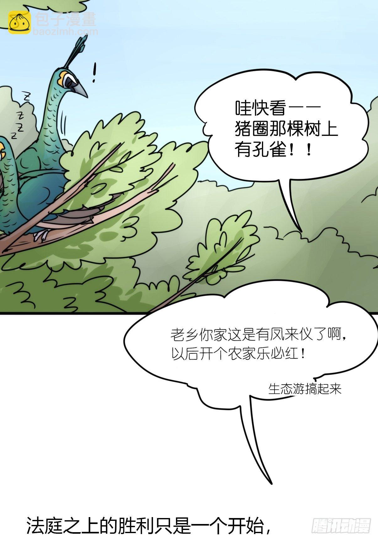 事业篇II：致绿孔雀05-第209话