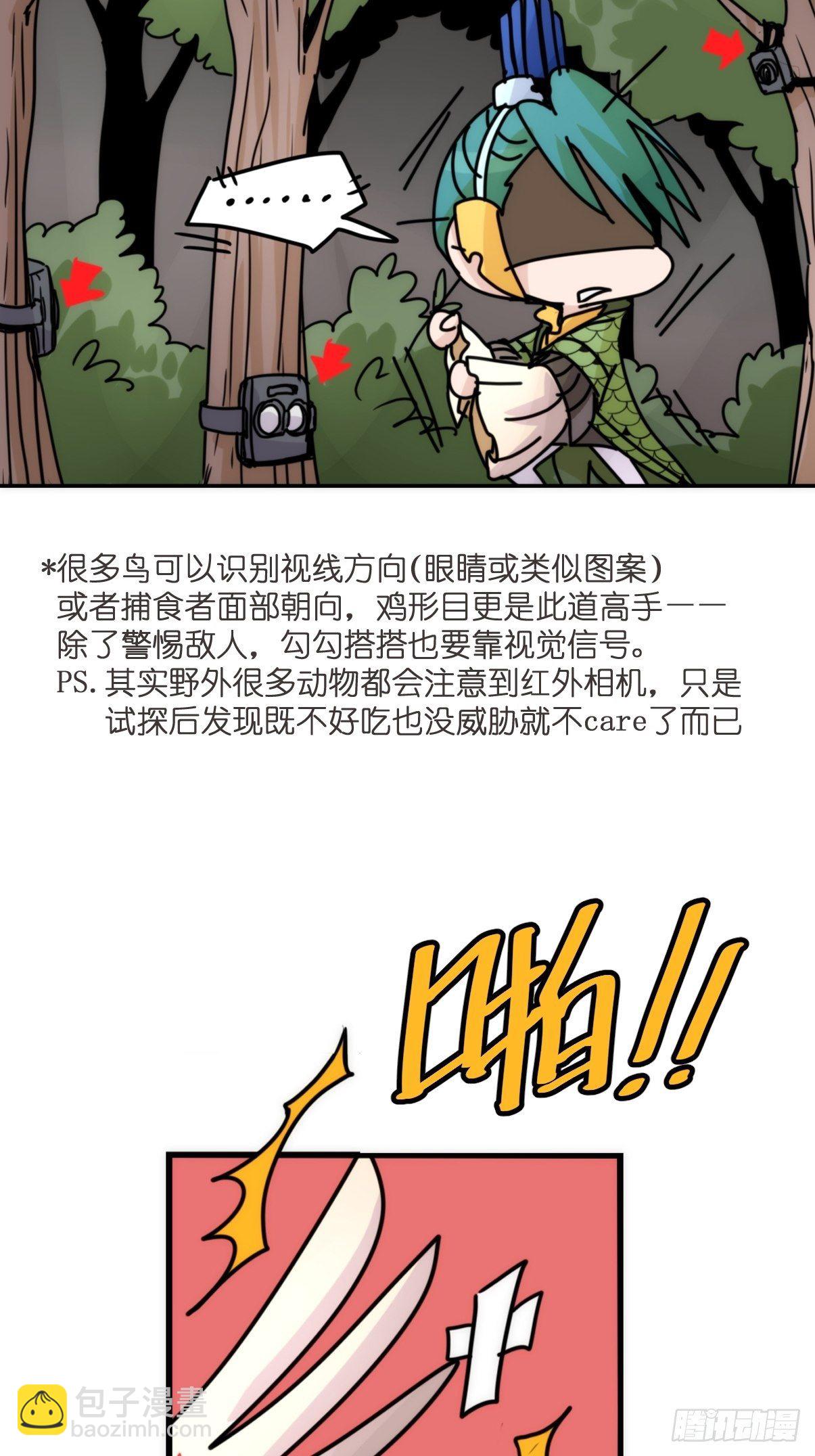 事业篇II：致绿孔雀05-第209话