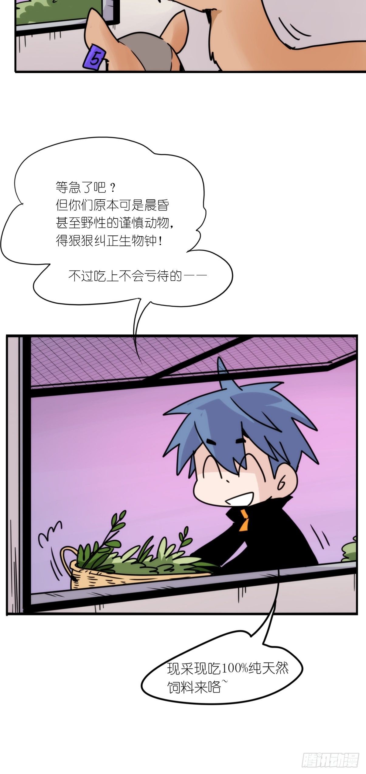 事业篇II：一堂种群恢复课02-第211话