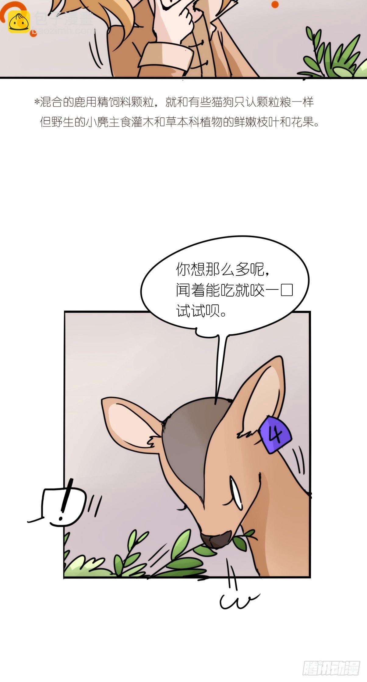 事业篇II：一堂种群恢复课02-第211话