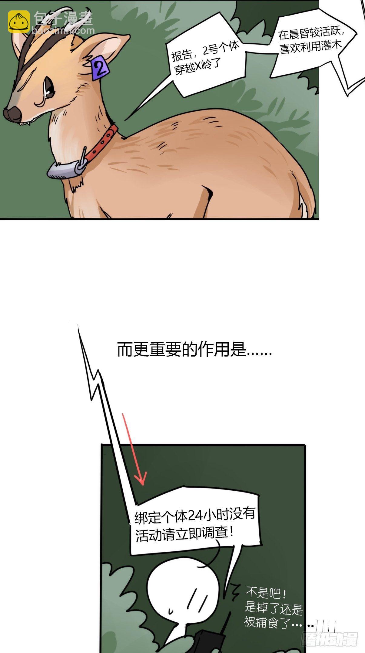 事业篇II：一堂种群恢复课04-第213话
