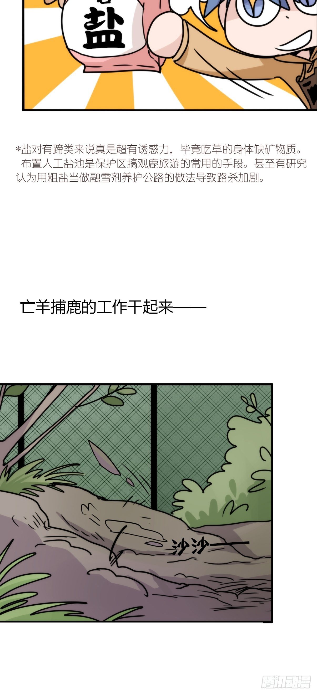 事业篇II：一堂种群恢复课04-第213话