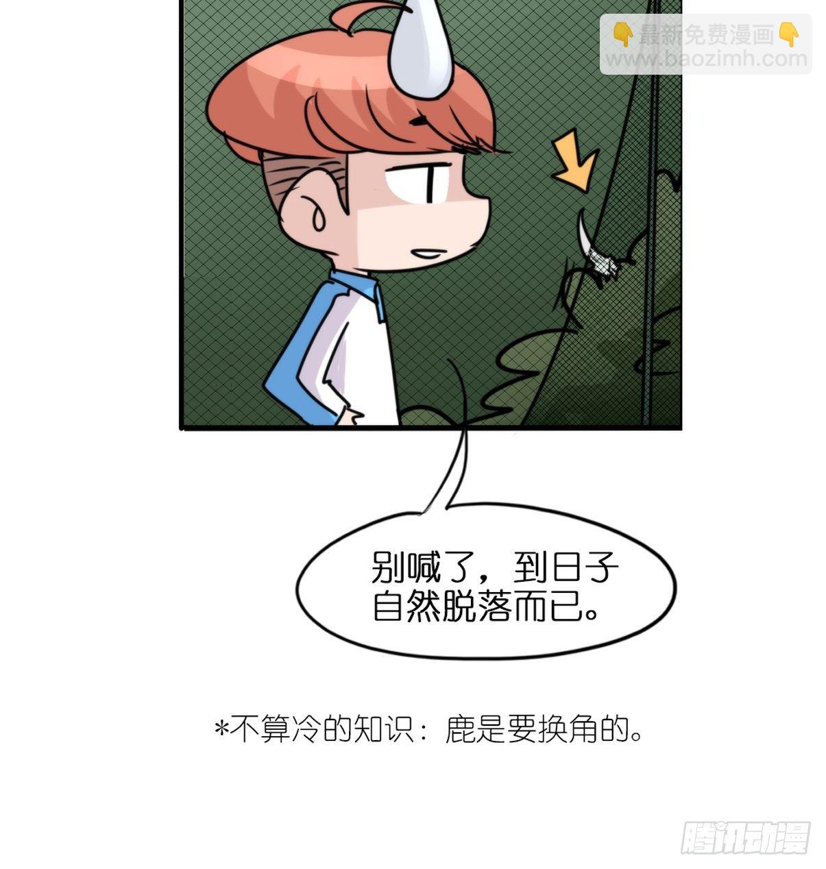 事业篇II：一堂种群恢复课04-第213话