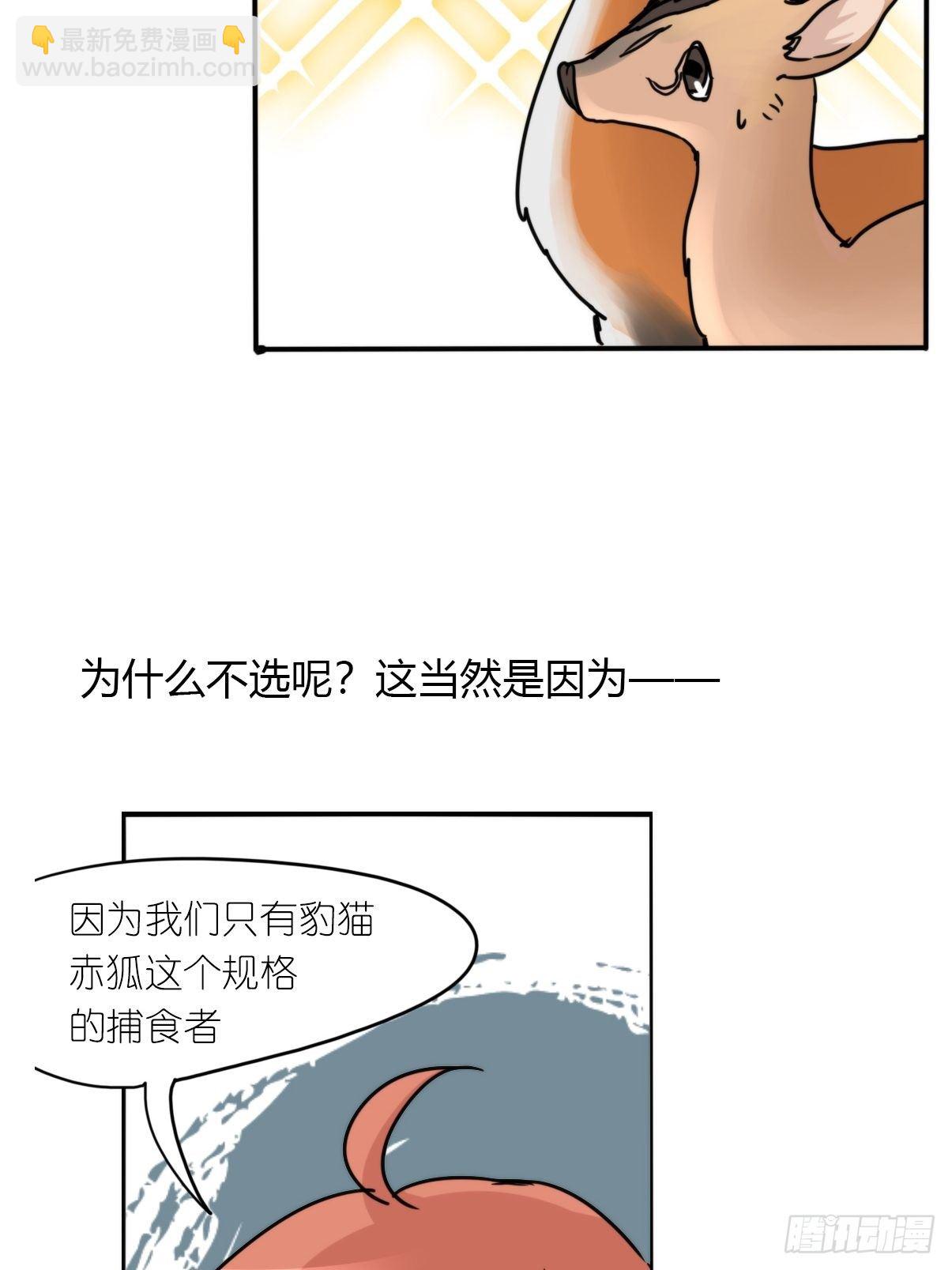 事业篇II：一堂种群恢复课04-第213话