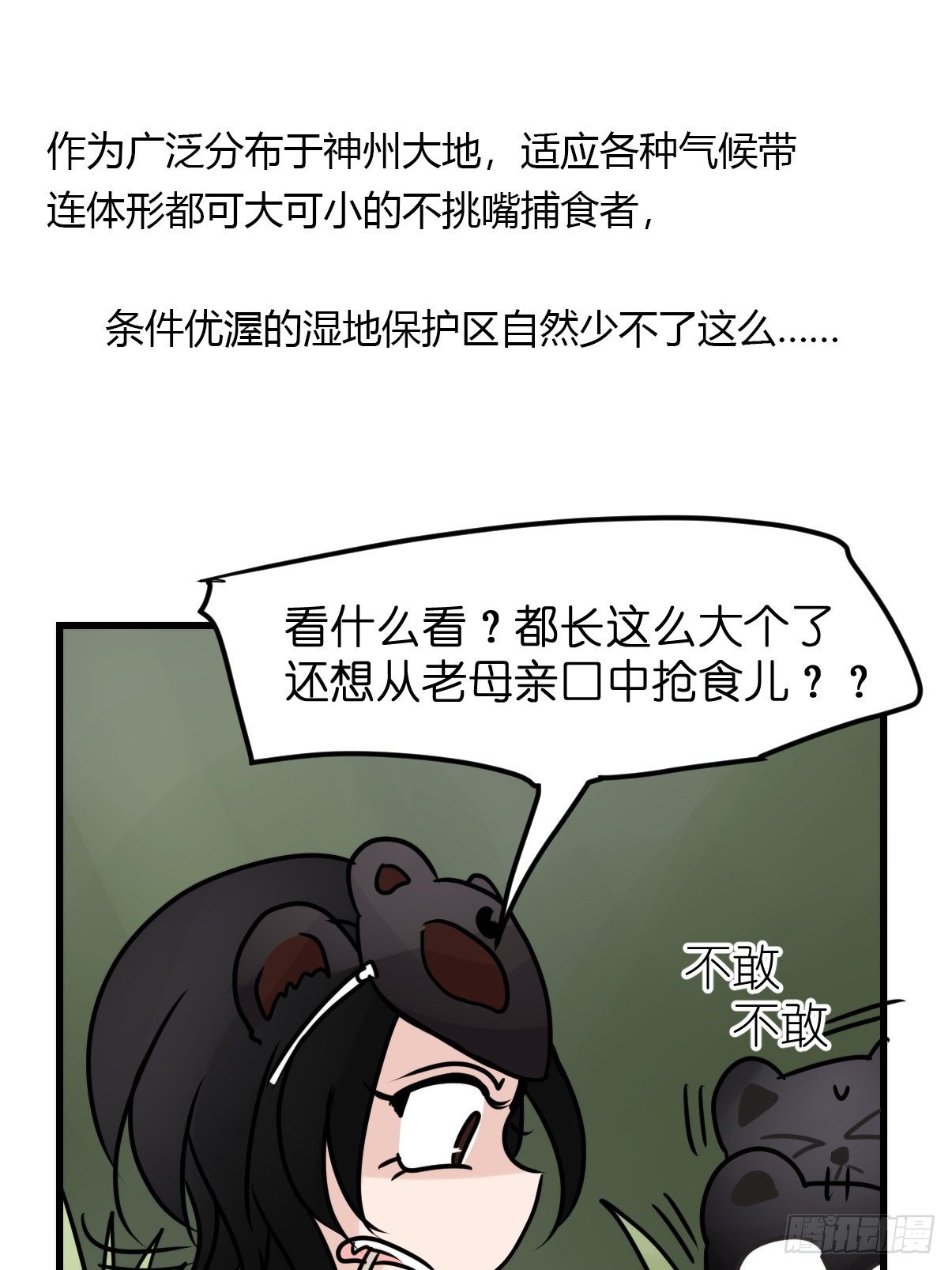 事业篇II：一堂种群恢复课06-第215话