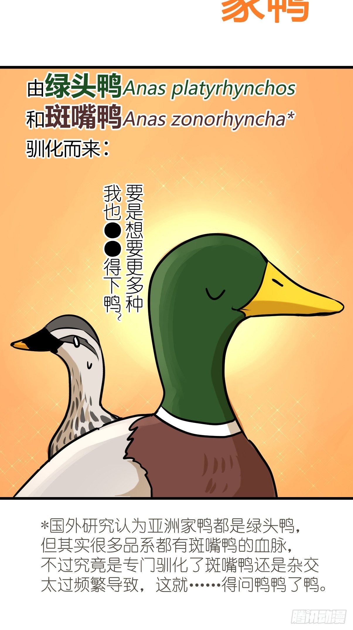 事业篇II：鸭鸭的奇妙冒险&middot;上-第219话