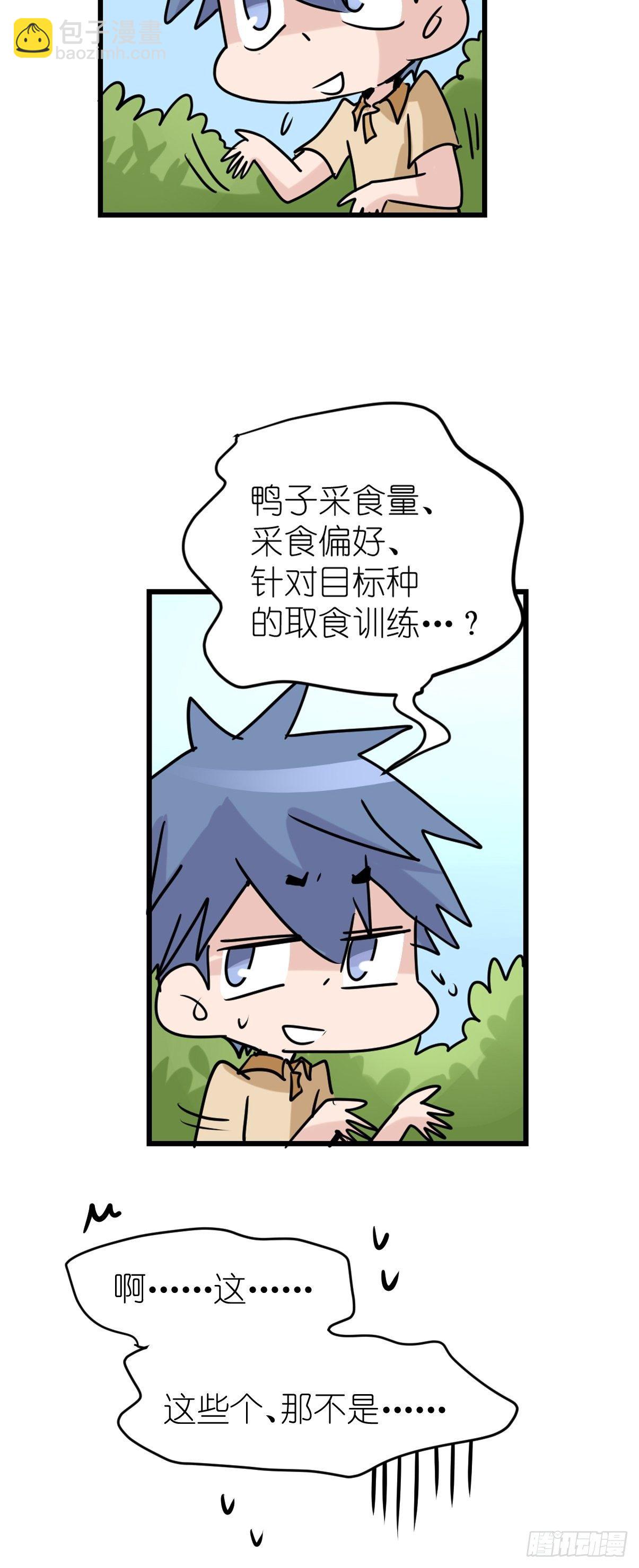 事业篇II：鸭鸭的奇妙冒险&middot;上-第219话