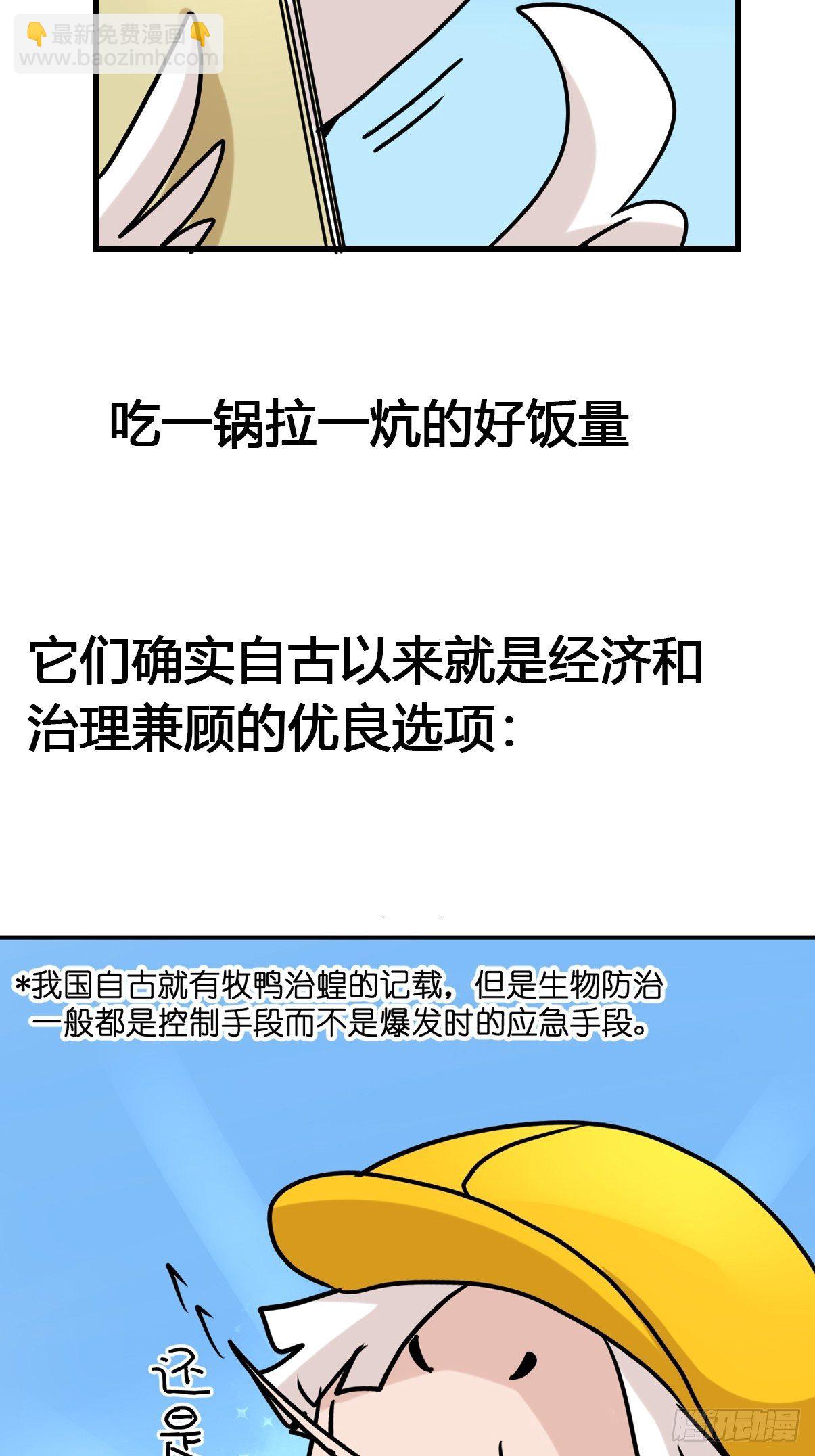 事业篇II：鸭鸭的奇妙冒险&middot;上-第219话
