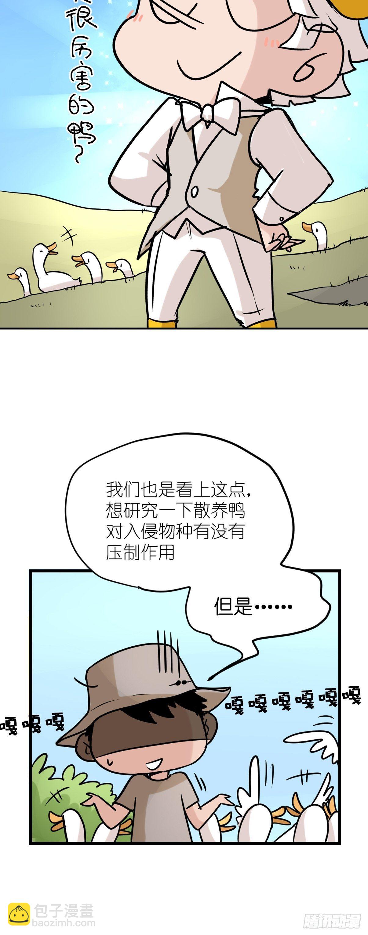 事业篇II：鸭鸭的奇妙冒险&middot;上-第219话