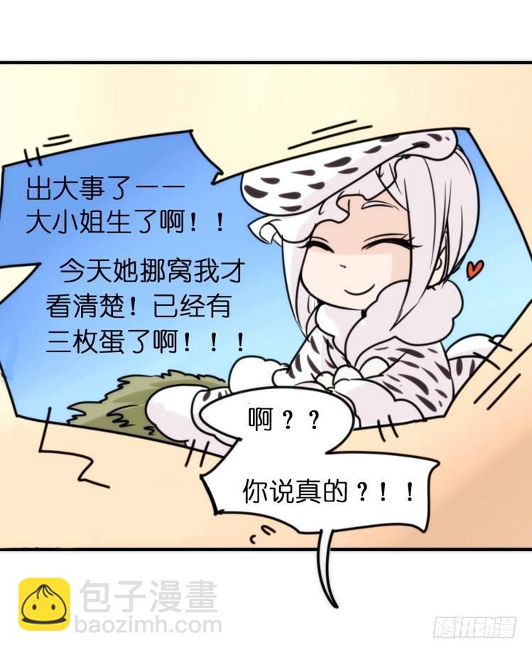 飞吧小少爷：好消息，坏消息。-第23话