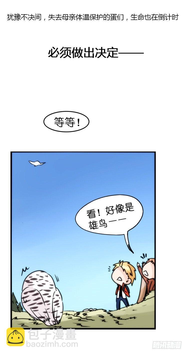 飞吧小少爷：好消息，坏消息。-第23话
