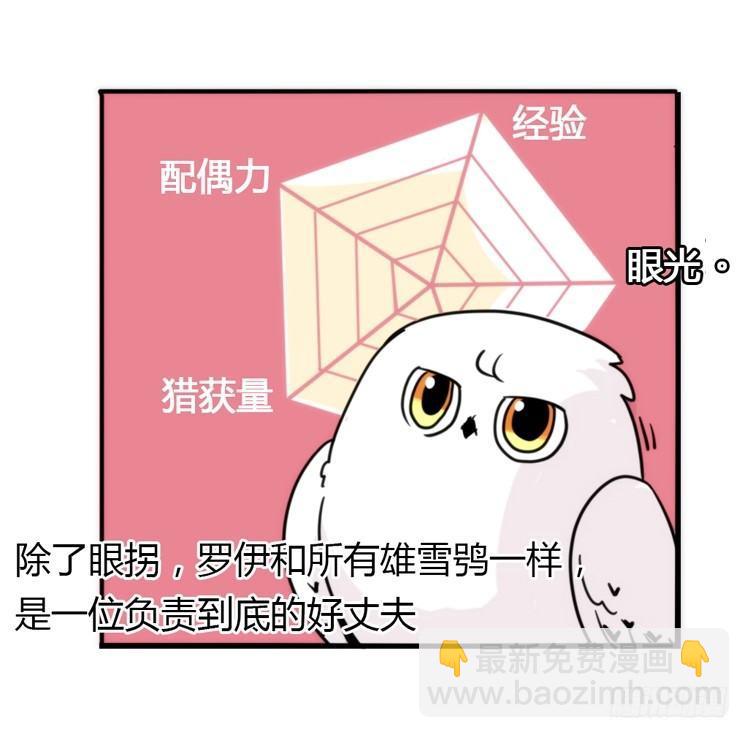 飞吧小少爷：好消息，坏消息。-第23话