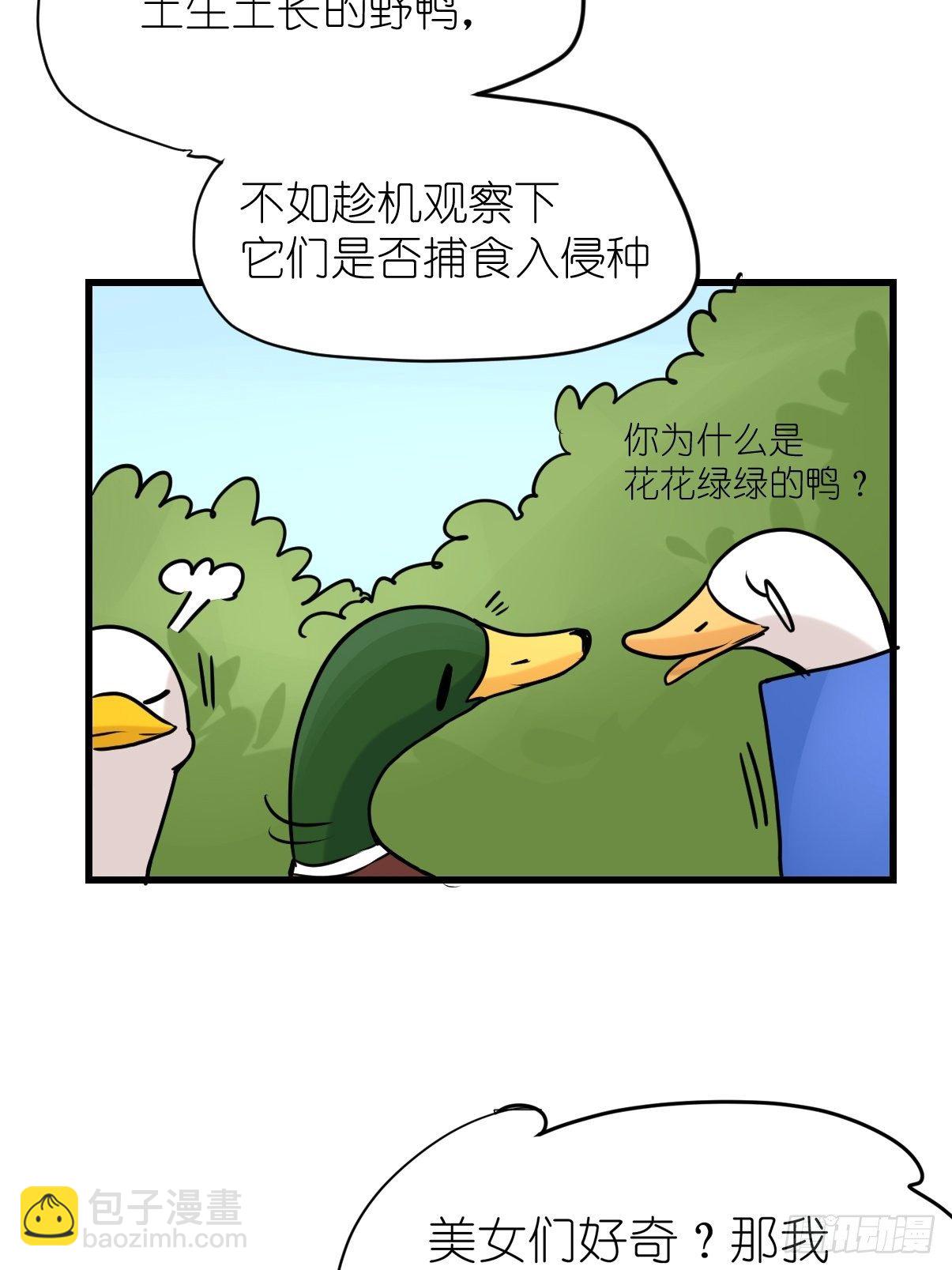 事业篇II：鸭鸭的奇妙冒险&middot;下-第221话