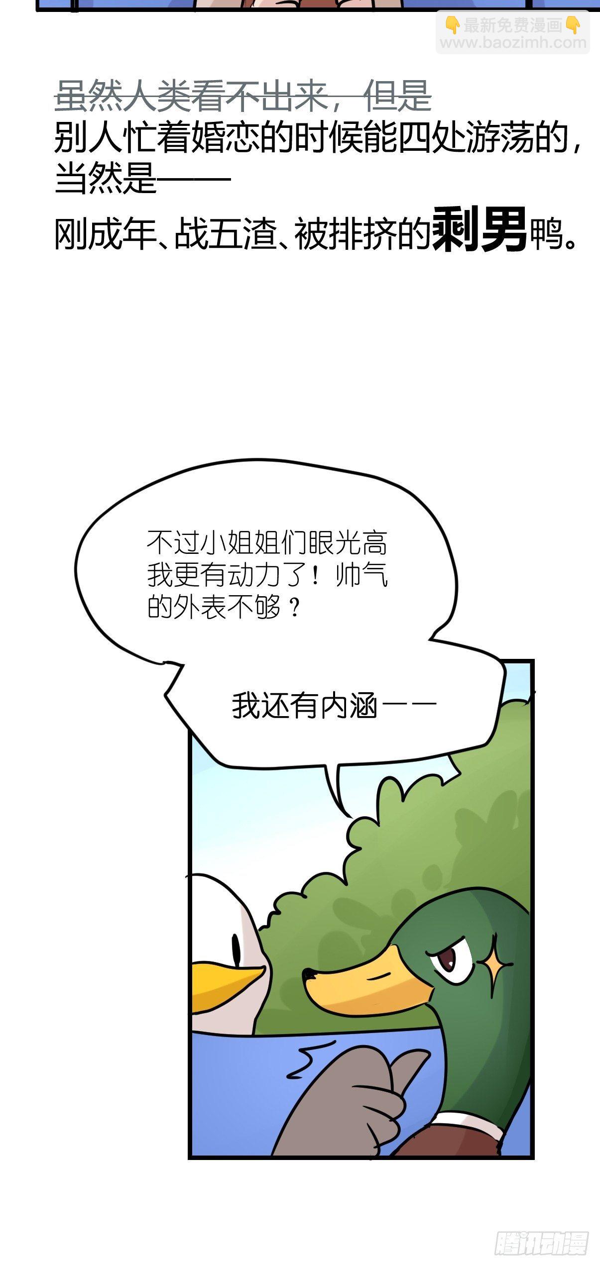 事业篇II：鸭鸭的奇妙冒险&middot;下-第221话
