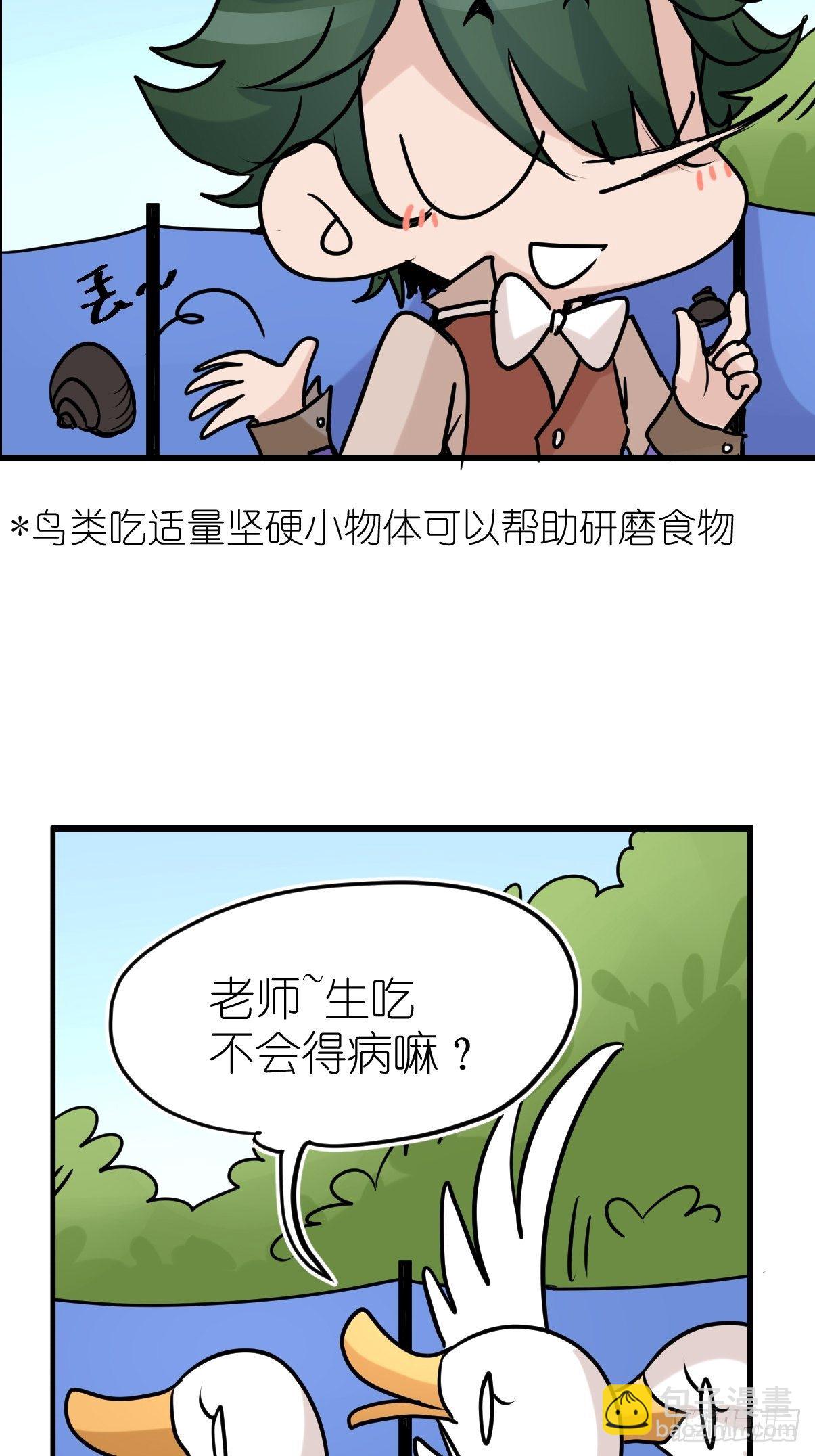 事业篇II：鸭鸭的奇妙冒险&middot;下-第221话